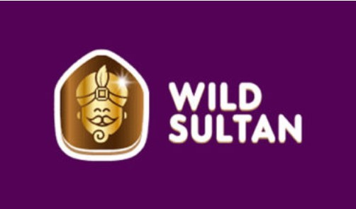 Lire la suite à propos de l’article Pourquoi Wild Sultan est le casino préféré des habitants de la petite pierre ?